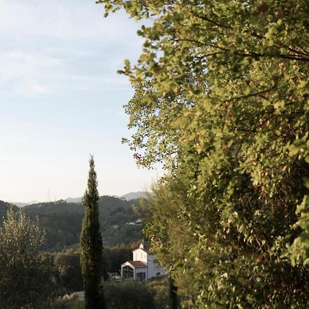 B&B La Fustaia Sarzana Eksteriør billede